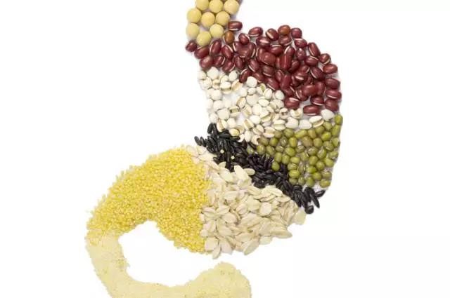 長(zhǎng)夏養(yǎng)生，吃出好“ 胃”口！